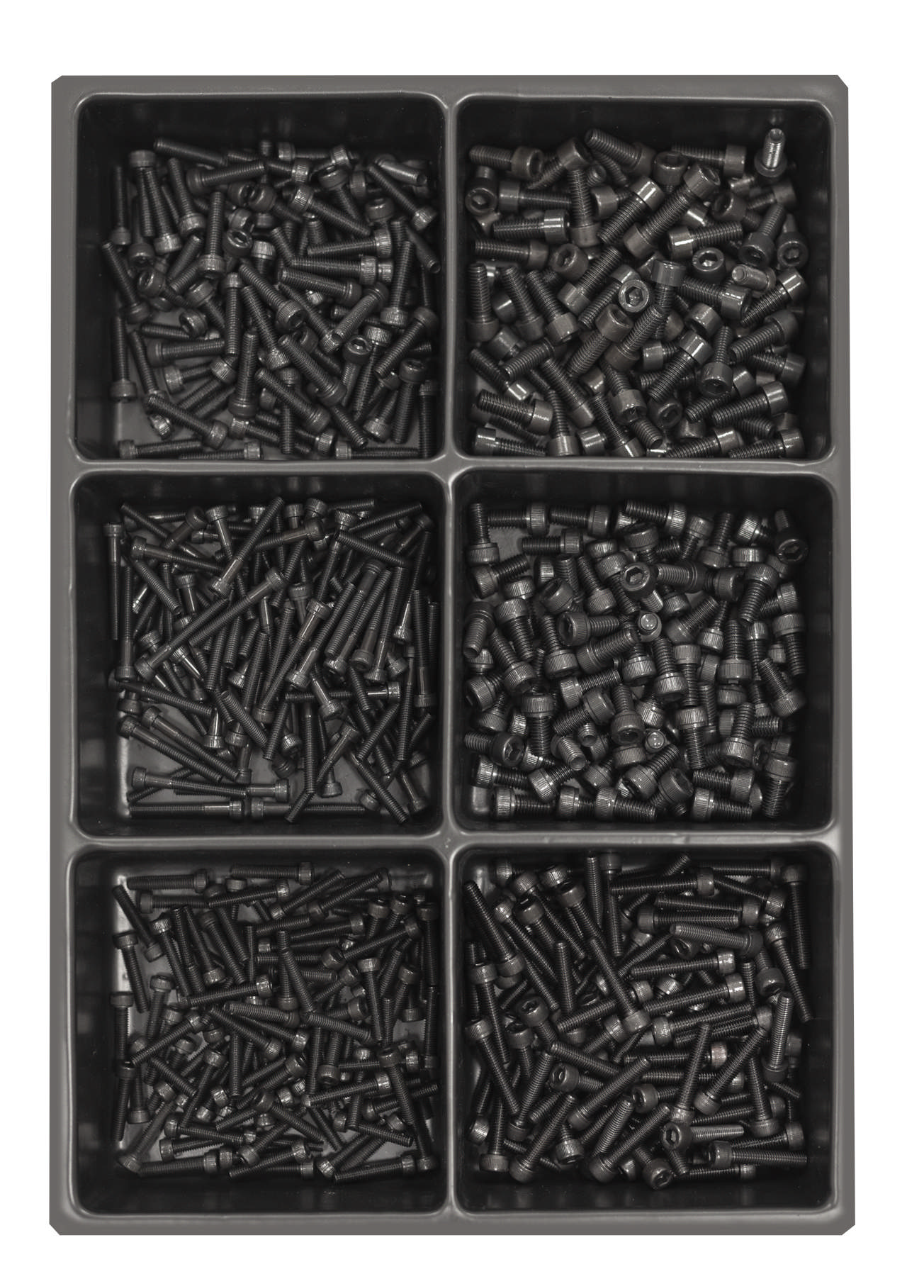 SORTIMENTINSATS (S2-M2-1)